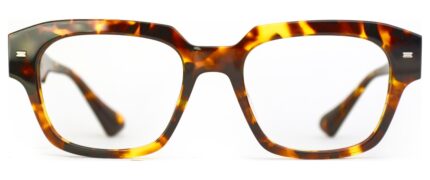Ανδρικά Γυαλιά Οράσεως BOLON BJ3215/B20/C2/51 - Respect Your Vision (Εικόνα 1)